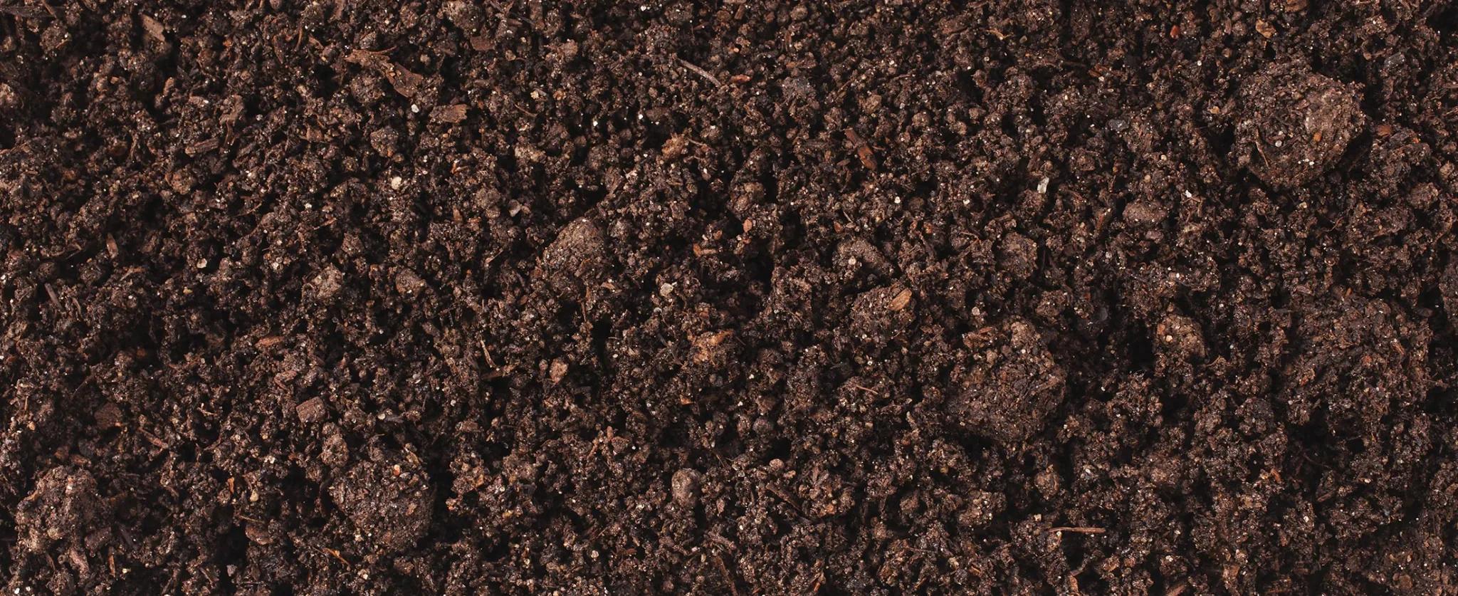 soil-background
